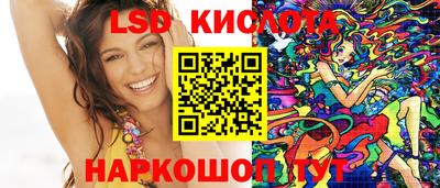 дживик Можга