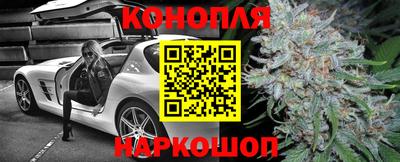 сатива Можайск