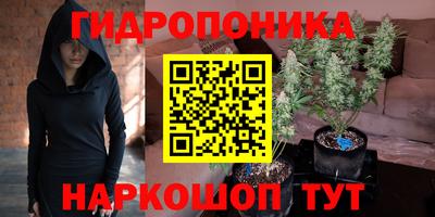 сатива Можайск