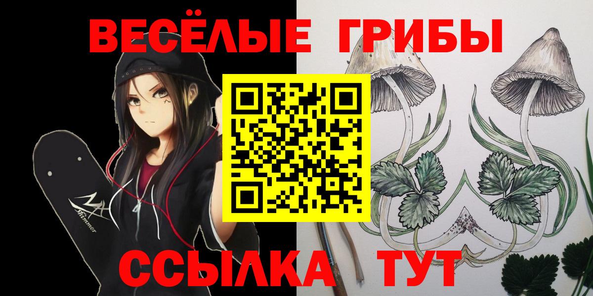 Щёлково  Псилоцибиновые грибы MAGIC MUSHROOMS  Вход с VPN  Галлюциногенные грибы Magic Shrooms 