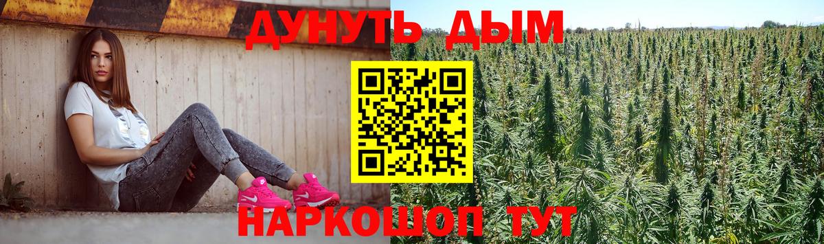 Бошки марихуана Amnesia Щёлково